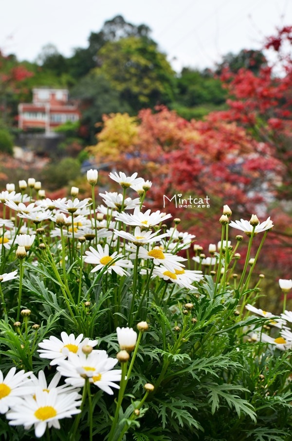 DSC_1653 DSC_1653