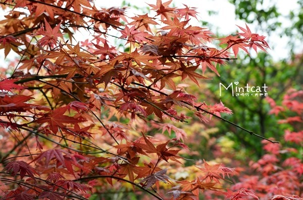 DSC_1667 DSC_1667