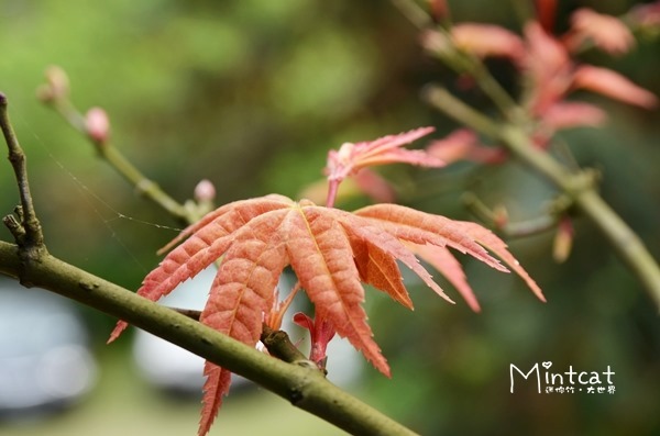 DSC_1669 DSC_1669