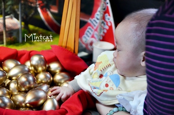 DSC_3027 DSC_3027
