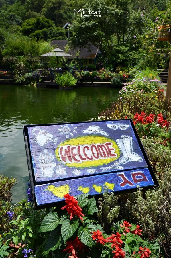 DSC_3180 DSC_3180