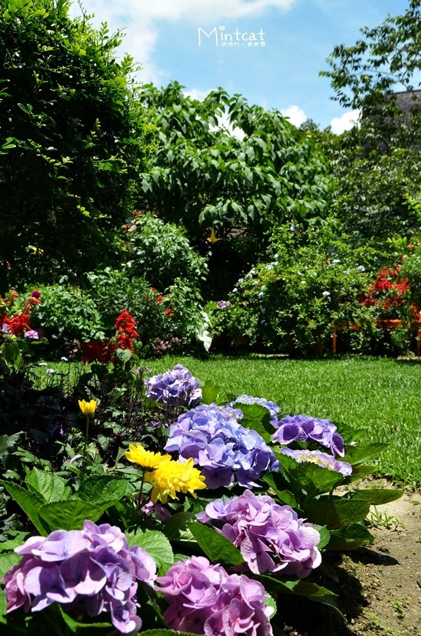 DSC_3202 DSC_3202