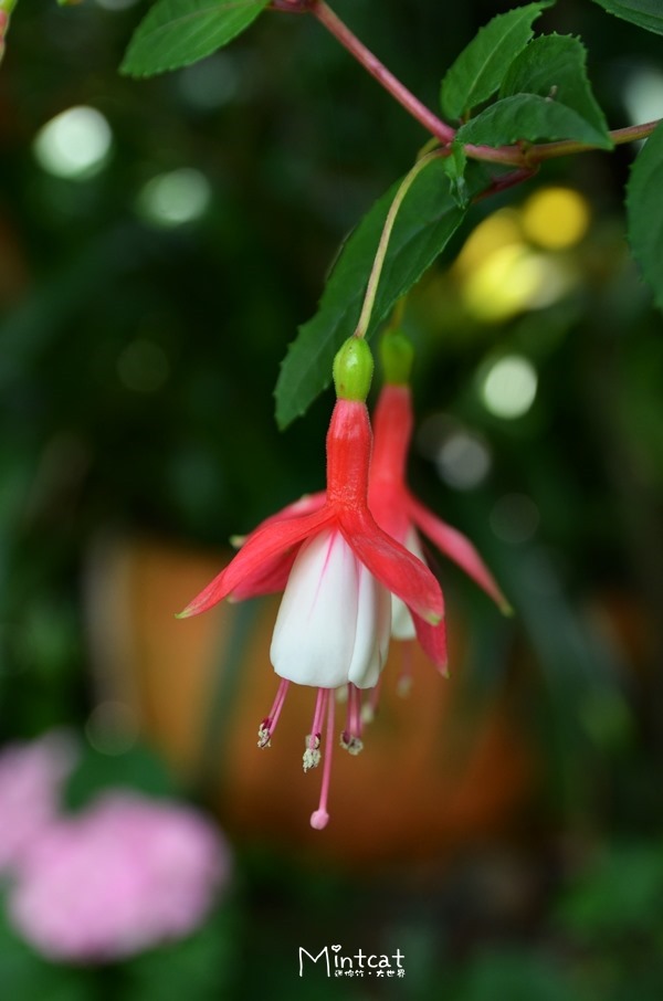 DSC_3205 DSC_3205