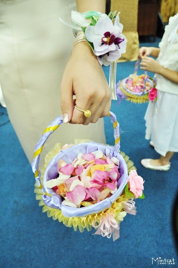 DSC_1901 DSC_1901