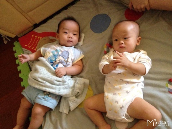 537038_435405836577203_415494841_n