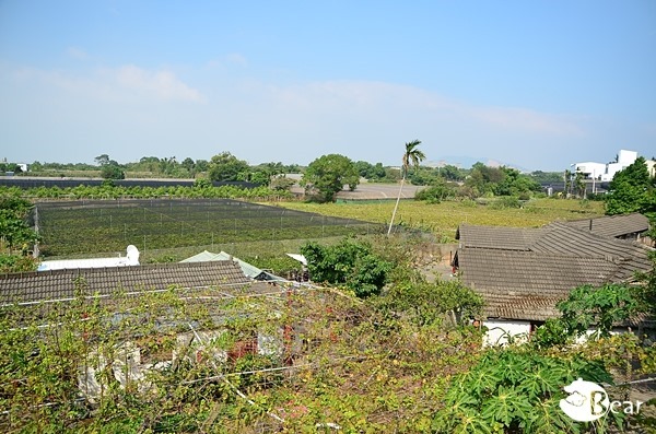 DSC_9048