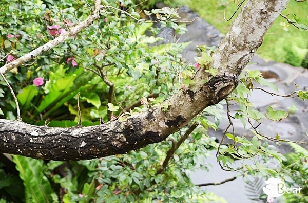 DSC_9496 DSC_9496