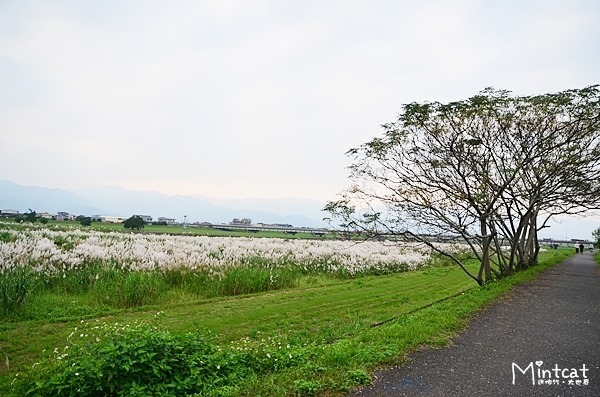 靜園民宿 (60)