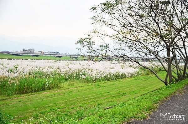 靜園民宿 (61)