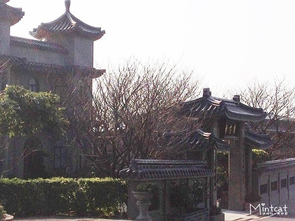 20140107-陽明山櫻花花況 (6) 20140107-陽明山櫻花花況 (6)