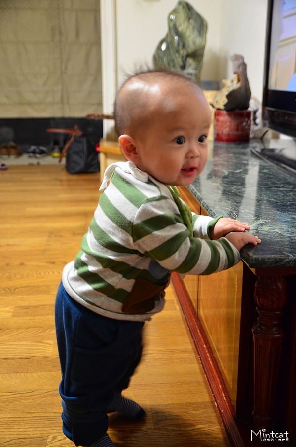 DSC_2709 DSC_2709