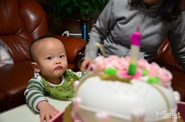 DSC_2735 DSC_2735