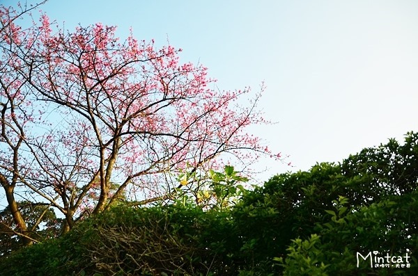 DSC_2949 DSC_2949