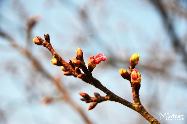 DSC_2961 DSC_2961