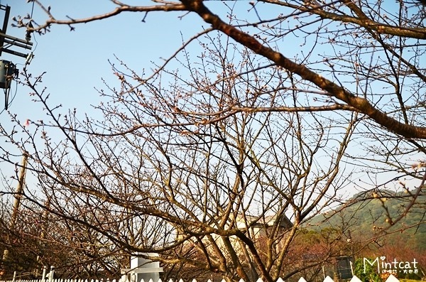 DSC_2965 DSC_2965