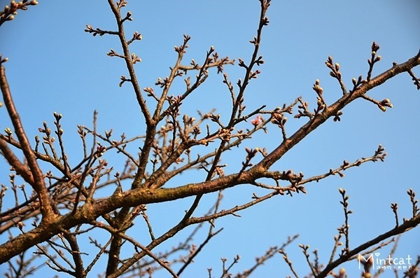 DSC_2967 DSC_2967