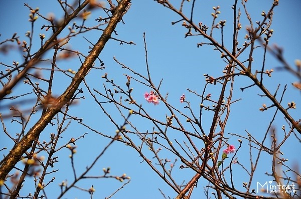 DSC_2969 DSC_2969