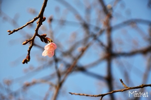 DSC_2970 DSC_2970