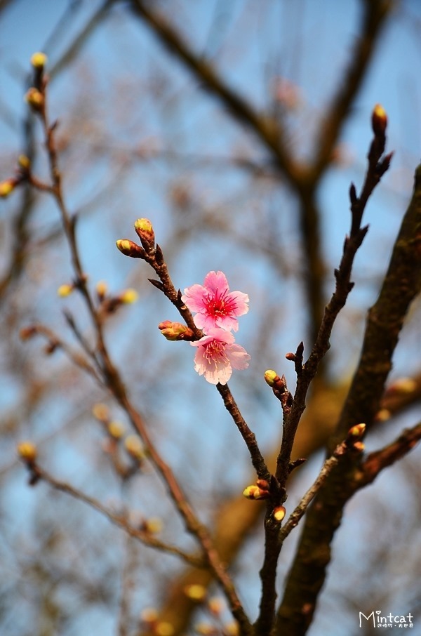DSC_2973 DSC_2973