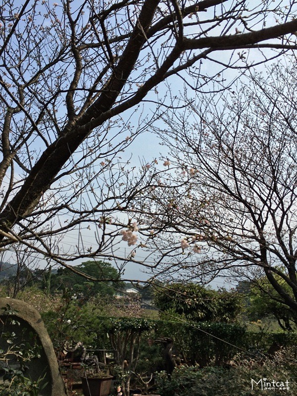 2014-03-10 09.50.49