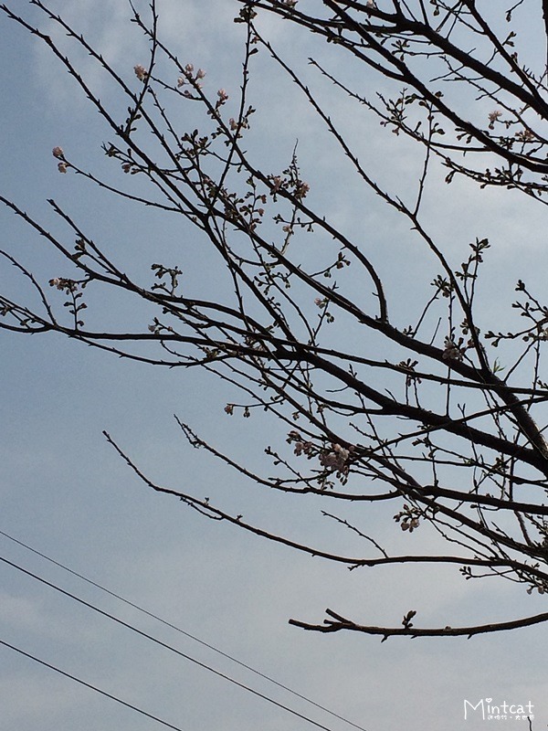 2014-03-10 09.51.15