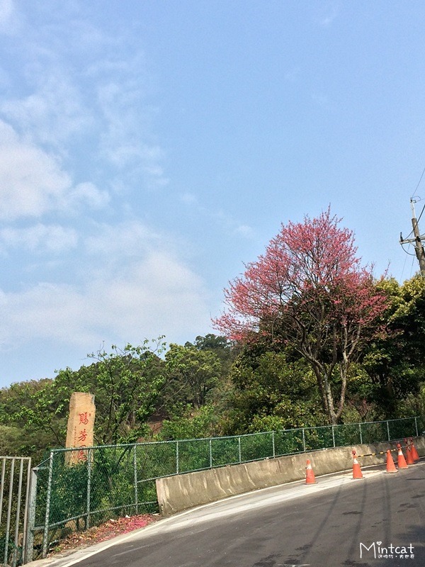 2014-03-10 09.53.39