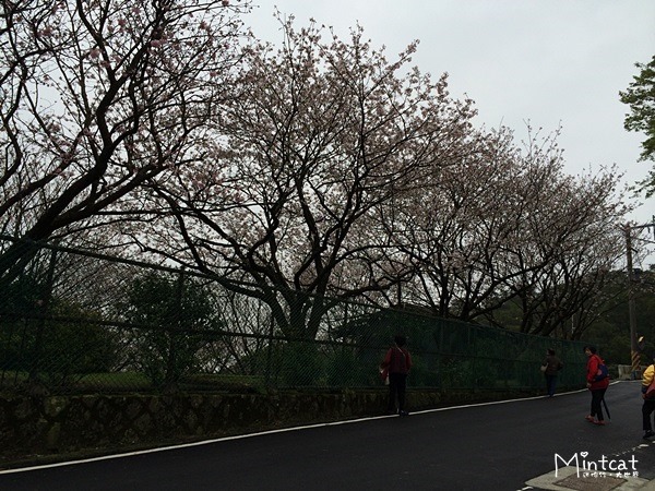 2014-03-12 14.17.42