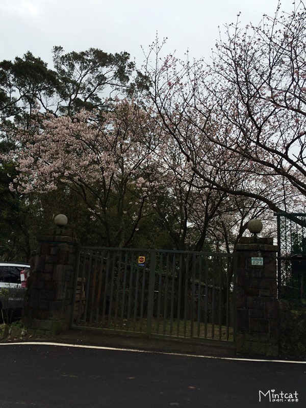 2014-03-12 14.17.47