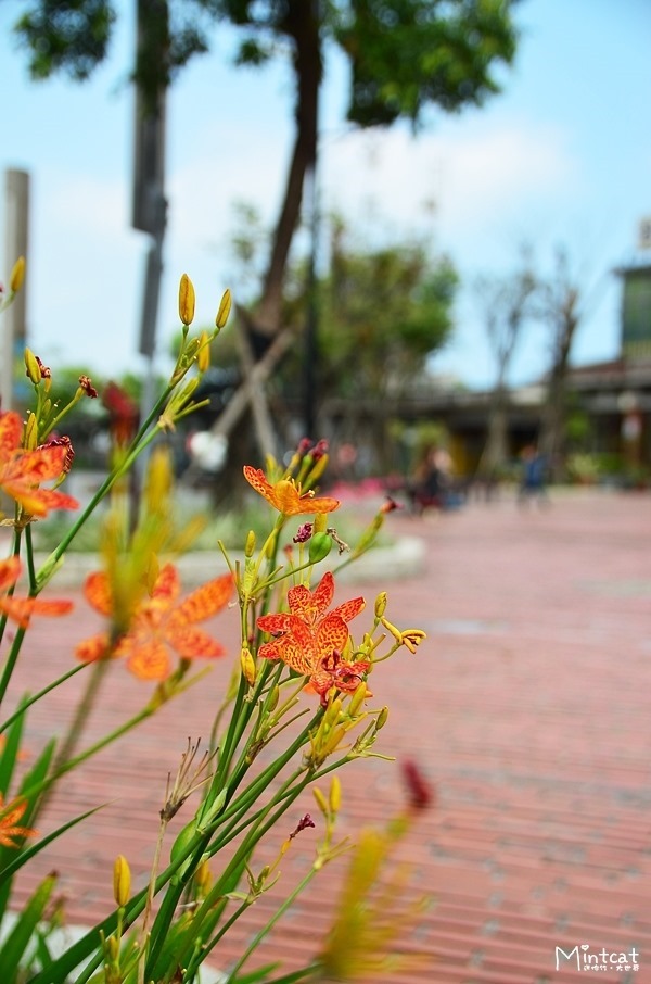 DSC_5510 DSC_5510
