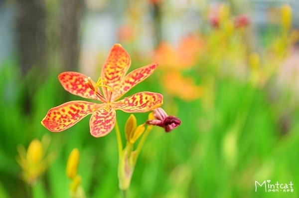 DSC_5511 DSC_5511
