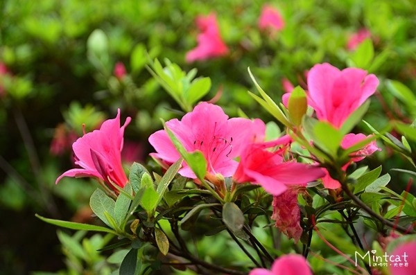 DSC_5526 DSC_5526
