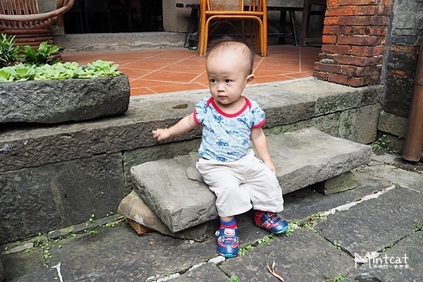 P7270240 P7270240