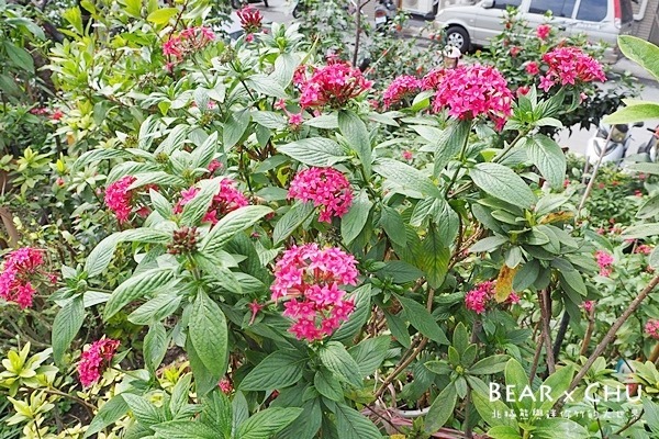 P1260257 P1260257