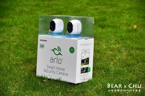 Arlo_6695