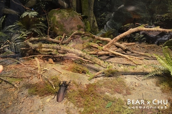 DSC_8646