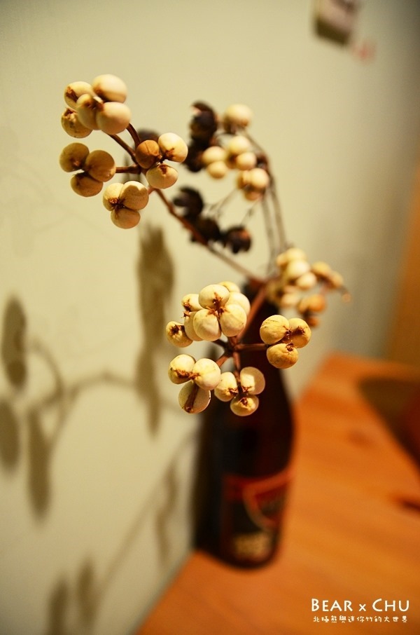 DSC_0828 DSC_0828