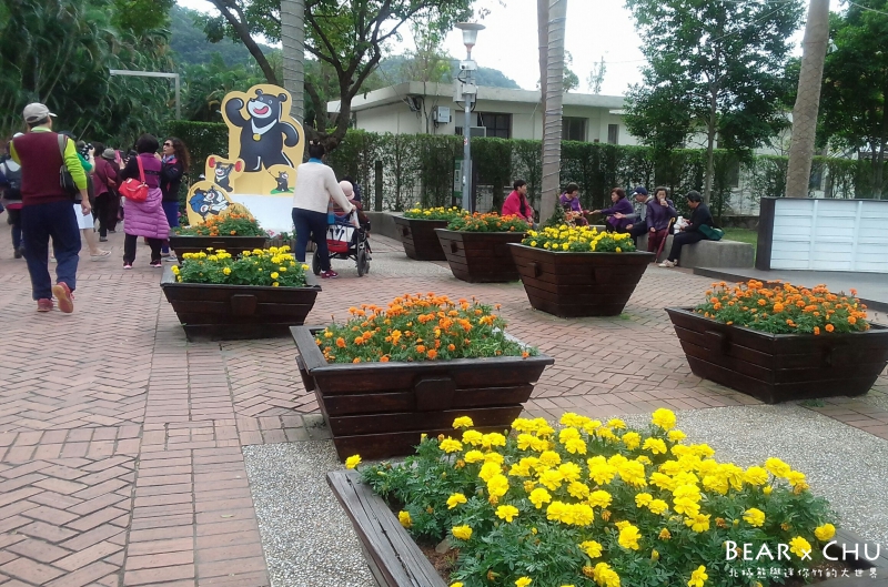 batch_2016士林菊展_1621.jpg