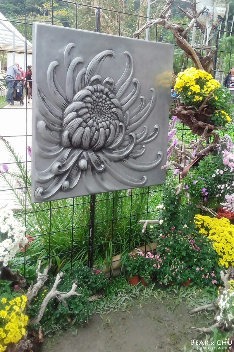 batch_2016士林菊展_3833.jpg