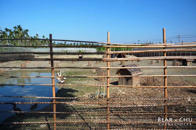 pingtung20161204-133.JPG