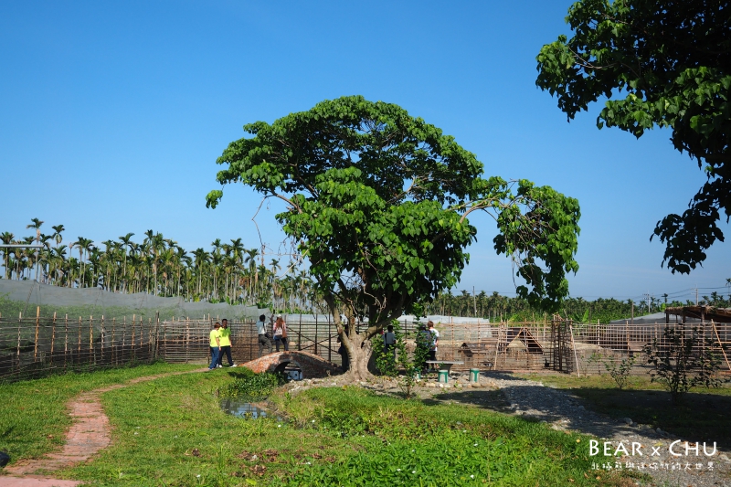 pingtung20161204-139.JPG