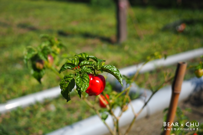 pingtung20161204-143.JPG