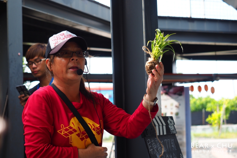 pingtung20161204-279.JPG