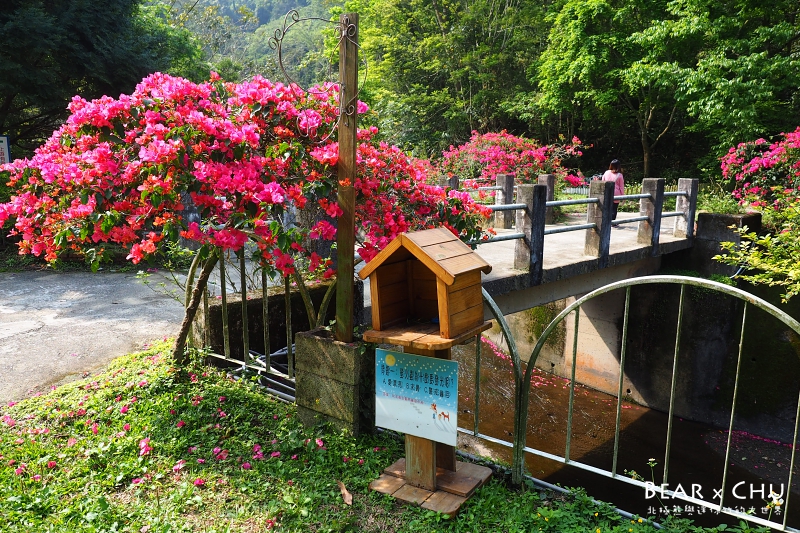 P4160262.JPG