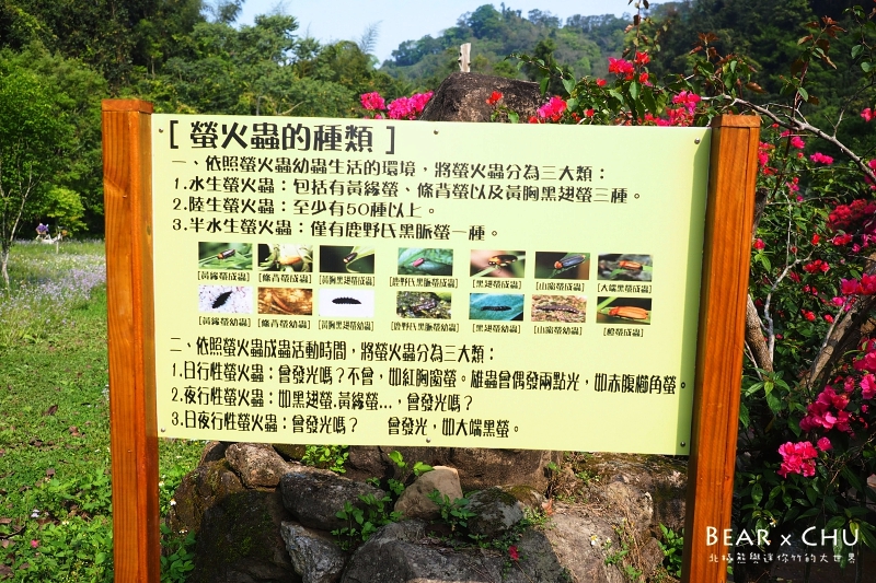 P4160265.JPG