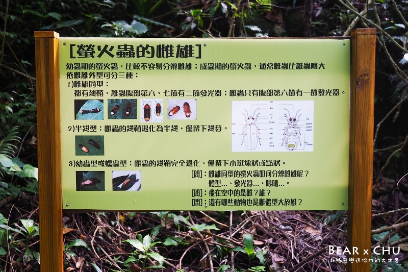 P4160281.JPG