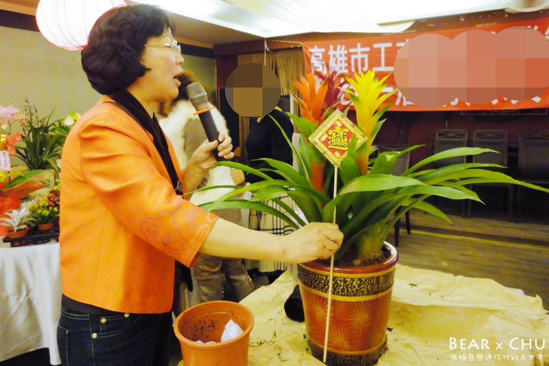 過年佈置DIY組合盆栽鳳梨_20110120-171850.JPG