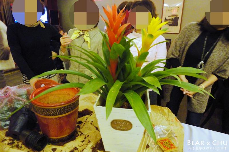 過年佈置DIY組合盆栽鳳梨_20110120-172108.JPG