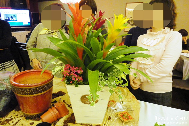 過年佈置DIY組合盆栽鳳梨_20110120-172256.JPG