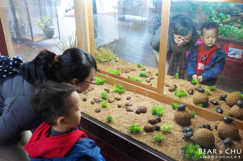 南投埔里木生昆蟲博物館_20180113-104716.JPG