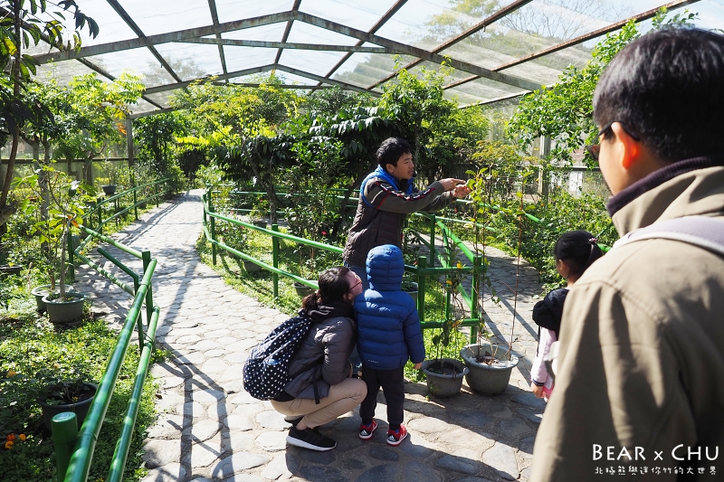 南投埔里木生昆蟲博物館_20180113-110048.JPG